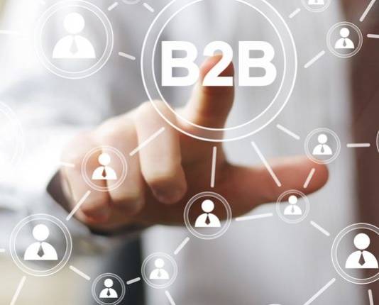 Dedykowane systemy B2B. Jakie ma możliwości platforma B2B?